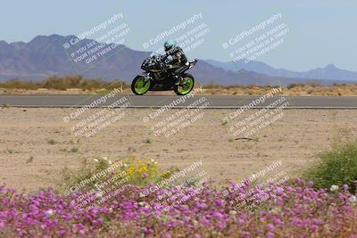 media/Mar-12-2023-SoCal Trackdays (Sun) [[d4c8249724]]/Turn 15 Inside Bloom (130pm)/